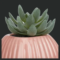 Greenery in Pink Ribbed Vase