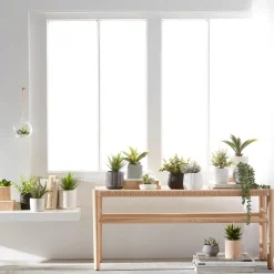 Hanging Terrarium with Artificial Succulent