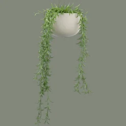 Hanging Vine in Ceramic Pot