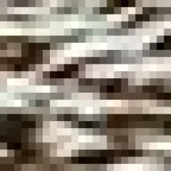 Hedgehog Canvas Framed Art