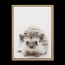 Hedgehog Framed Canvas