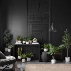 Large Artificial Aralia Tree