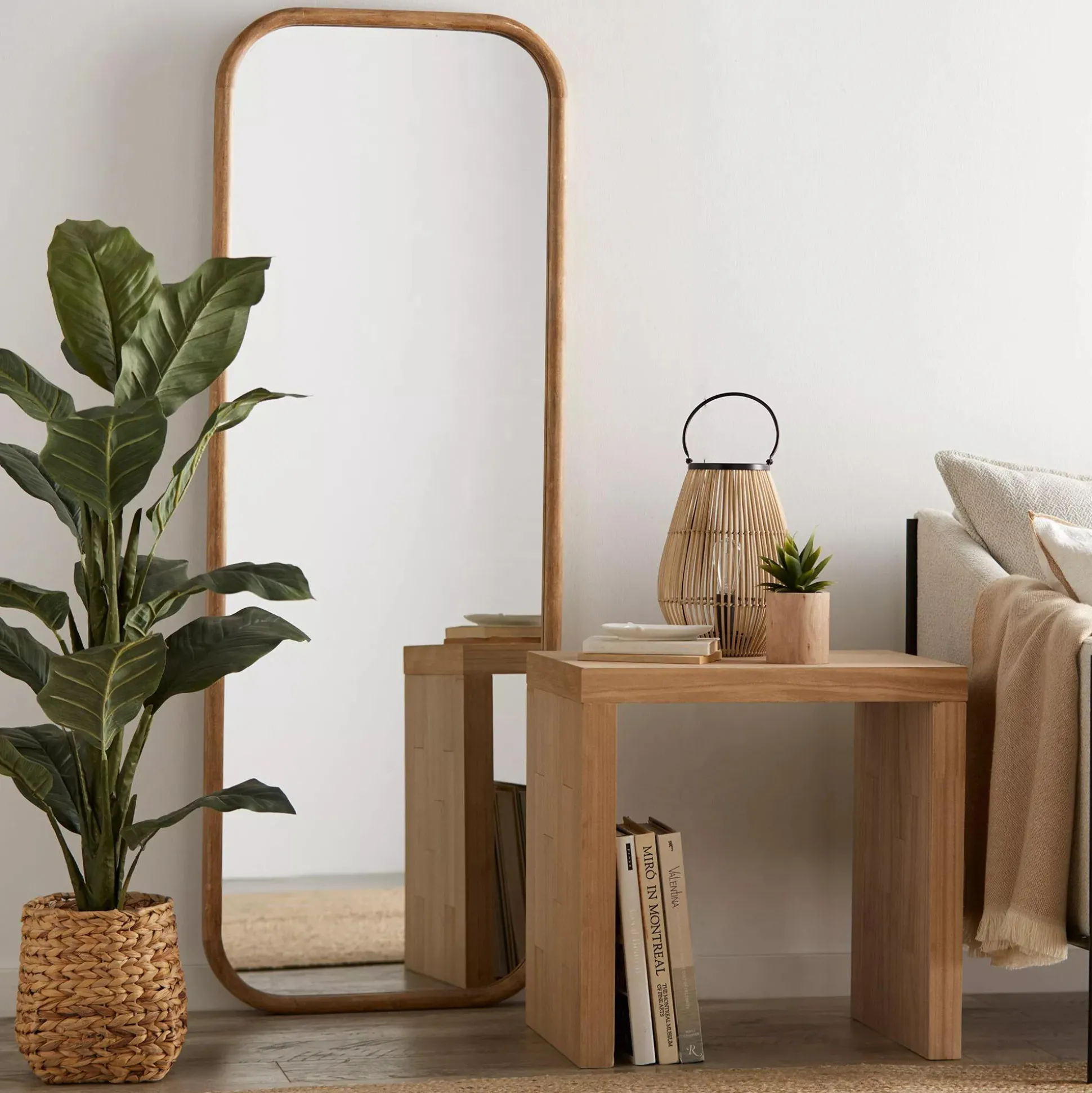 Large Ficus in Rattan Pot