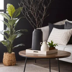 Large Ficus in Rattan Pot