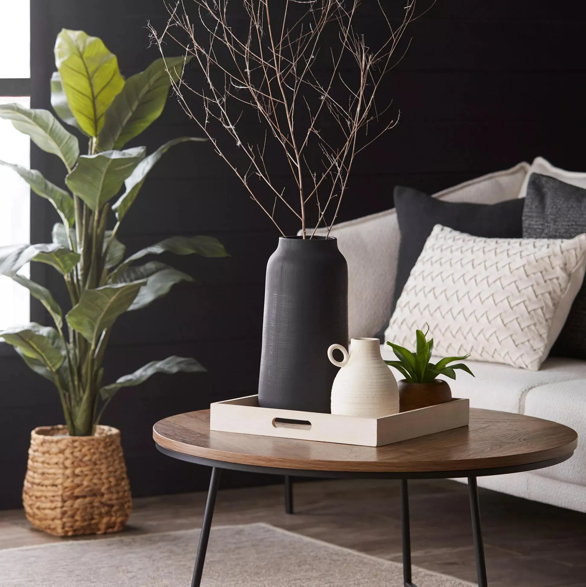 Large Ficus in Rattan Pot