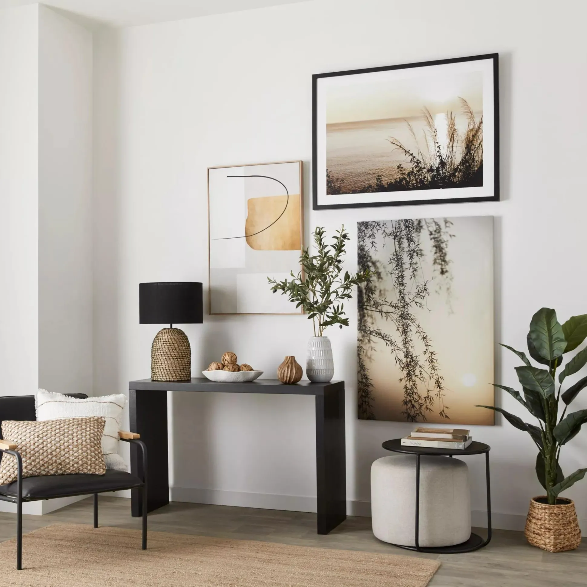 Large Ficus in Rattan Pot