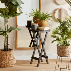 Large Ficus in Rattan Pot