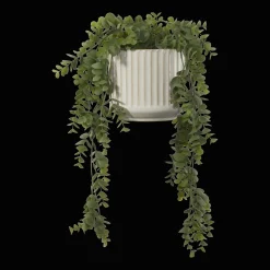 Long Eucalyptus in Ceramic Ribbed Pot