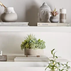 Mixed Artificial Agave in Cement Planter