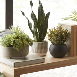 Mixed Artificial Agave in Cement Planter