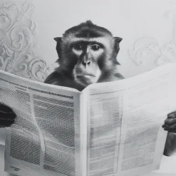 Monkey in Bathtub Printed Framed Canvas