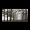 Mystical Pathway Printed Canvas