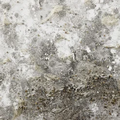 Oil Painted Embellished Tree Canvas