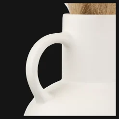 Pampas Bouquet in Vase