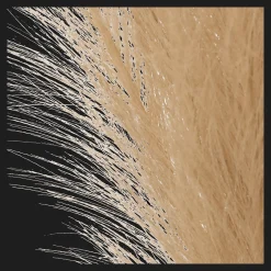 Pampas Bouquet in Vase