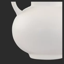 Pampas Bouquet in Vase