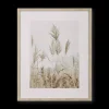 Pampas on Beach Framed Canvas