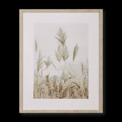 Pampas on Beach Framed Canvas