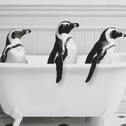 Penguins in Bathtub Printed Framed Canvas