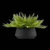 Pot with Artificial Fern