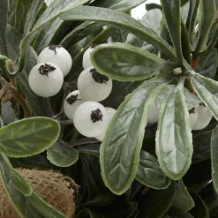 Potted Artificial Plant with White Berries