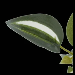 Potted Falling Leaves