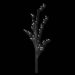 Pussy Willow Stem