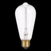 Regular 40W Light Bulb