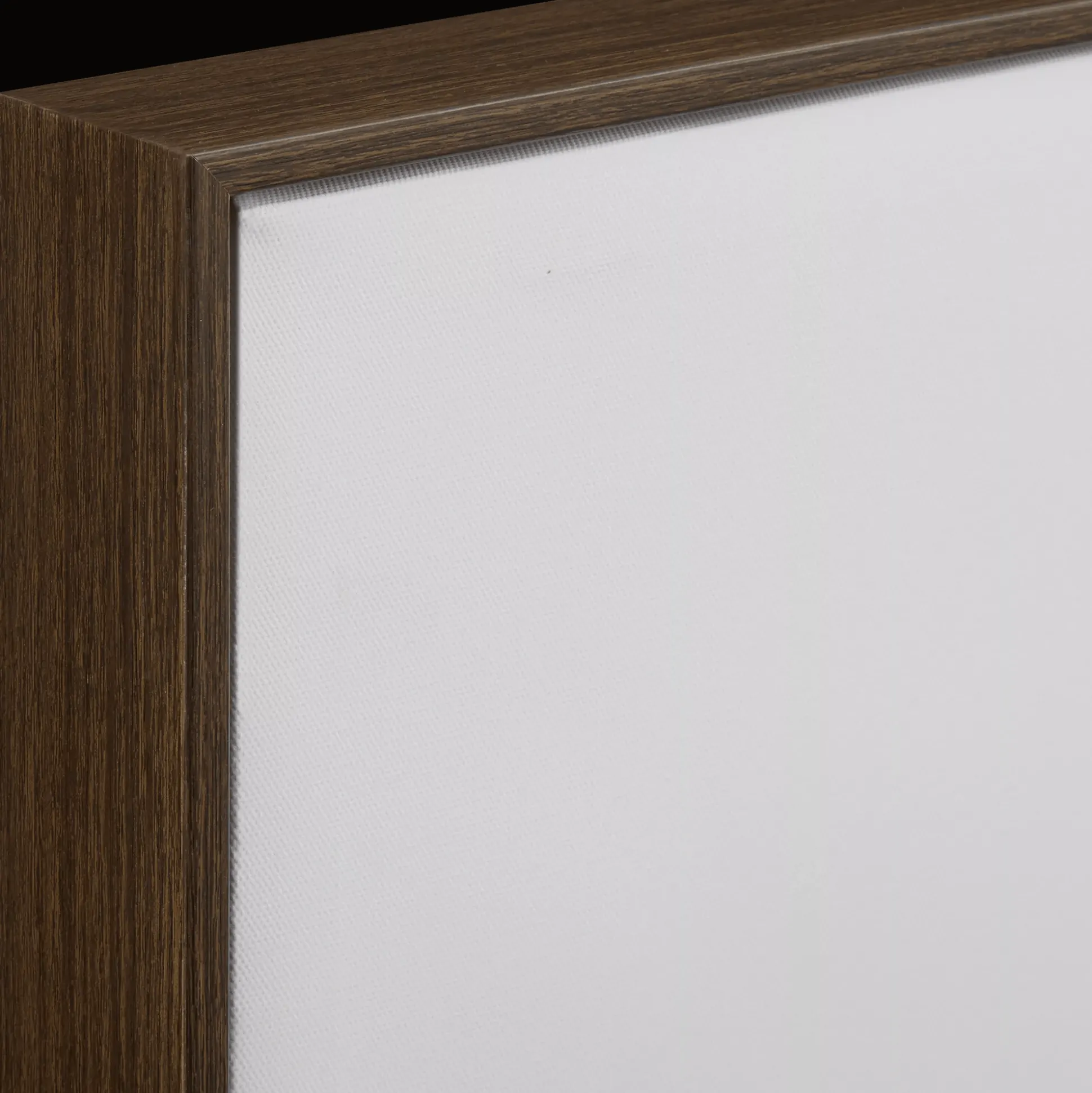 Resting Bear Framed Art