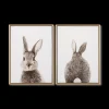 Set of 2 Bunny Framed Canvases