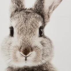 Set of 2 Bunny Framed Canvases