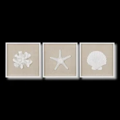 Set of 3 Seashells Framed Art