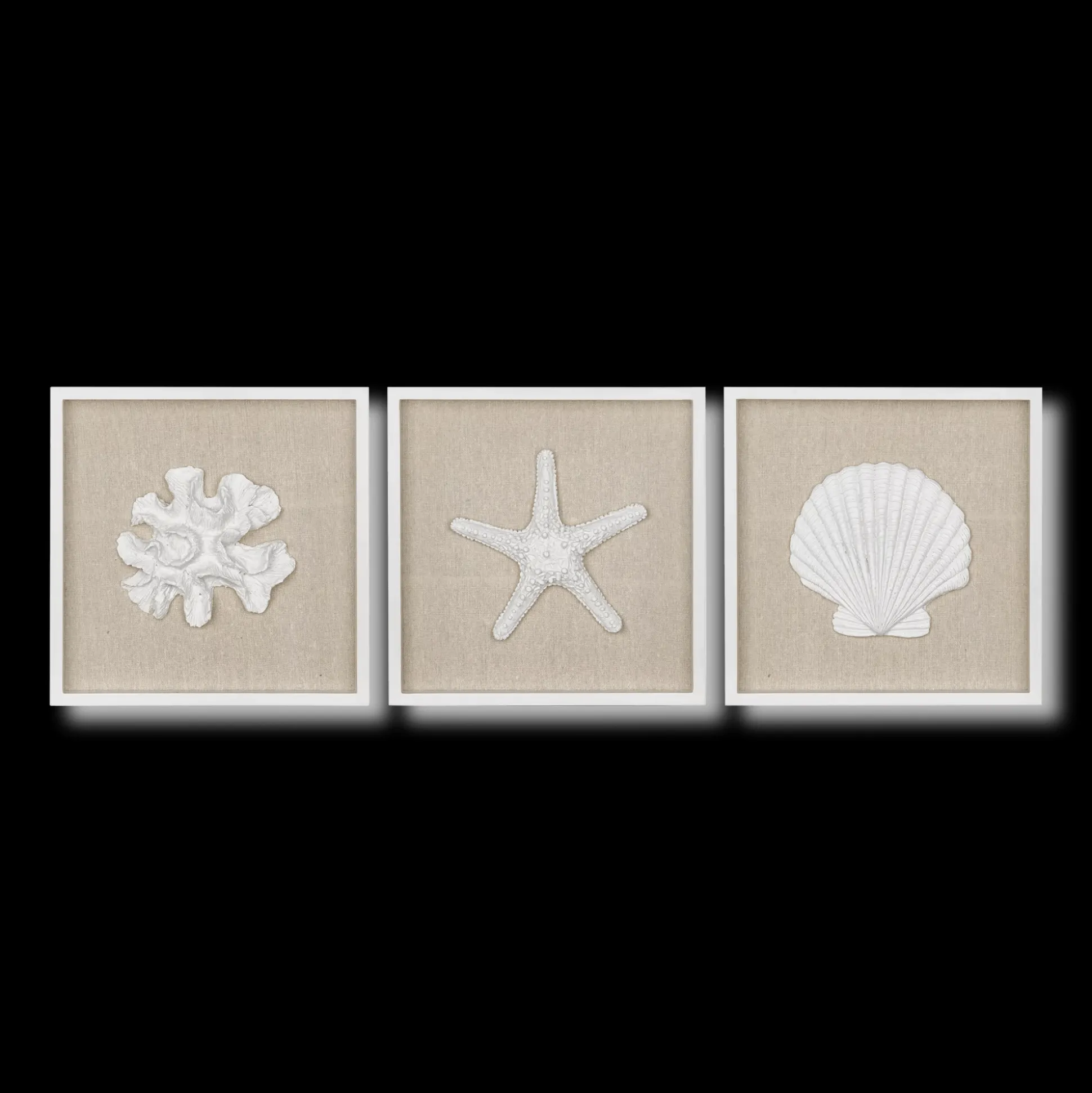 Set of 3 Seashells Framed Art