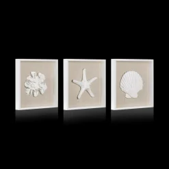 Set of 3 Seashells Framed Art