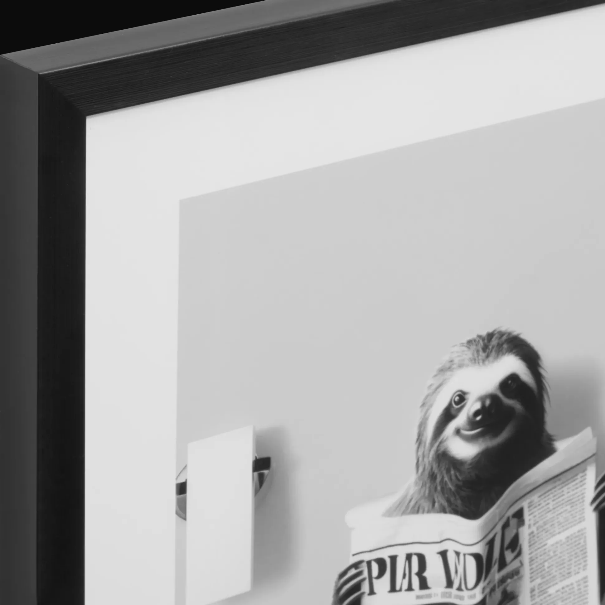Sloth Reading Framed Art