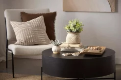 Succulent in Ceramic Pot