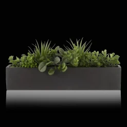 Succulents in Ceramic Pot