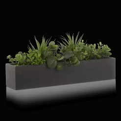 Succulents in Ceramic Pot