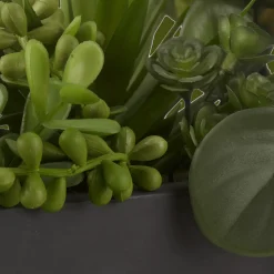 Succulents in Ceramic Pot