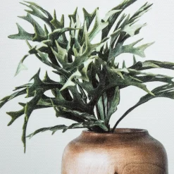 Succulents in Wood Vases Printed Canvas