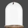 Tall Glass Dome with Acadia Wood Base