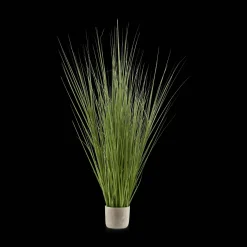 Tall Grass in Cement Pot