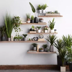 Tall Grass in Cement Pot
