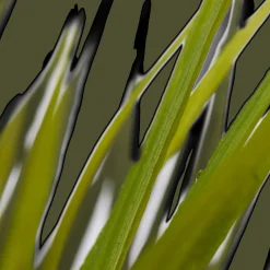 Textured Ceramic Potted Tropical Plant