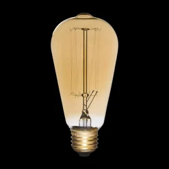 Vintage Edison Light Bulb