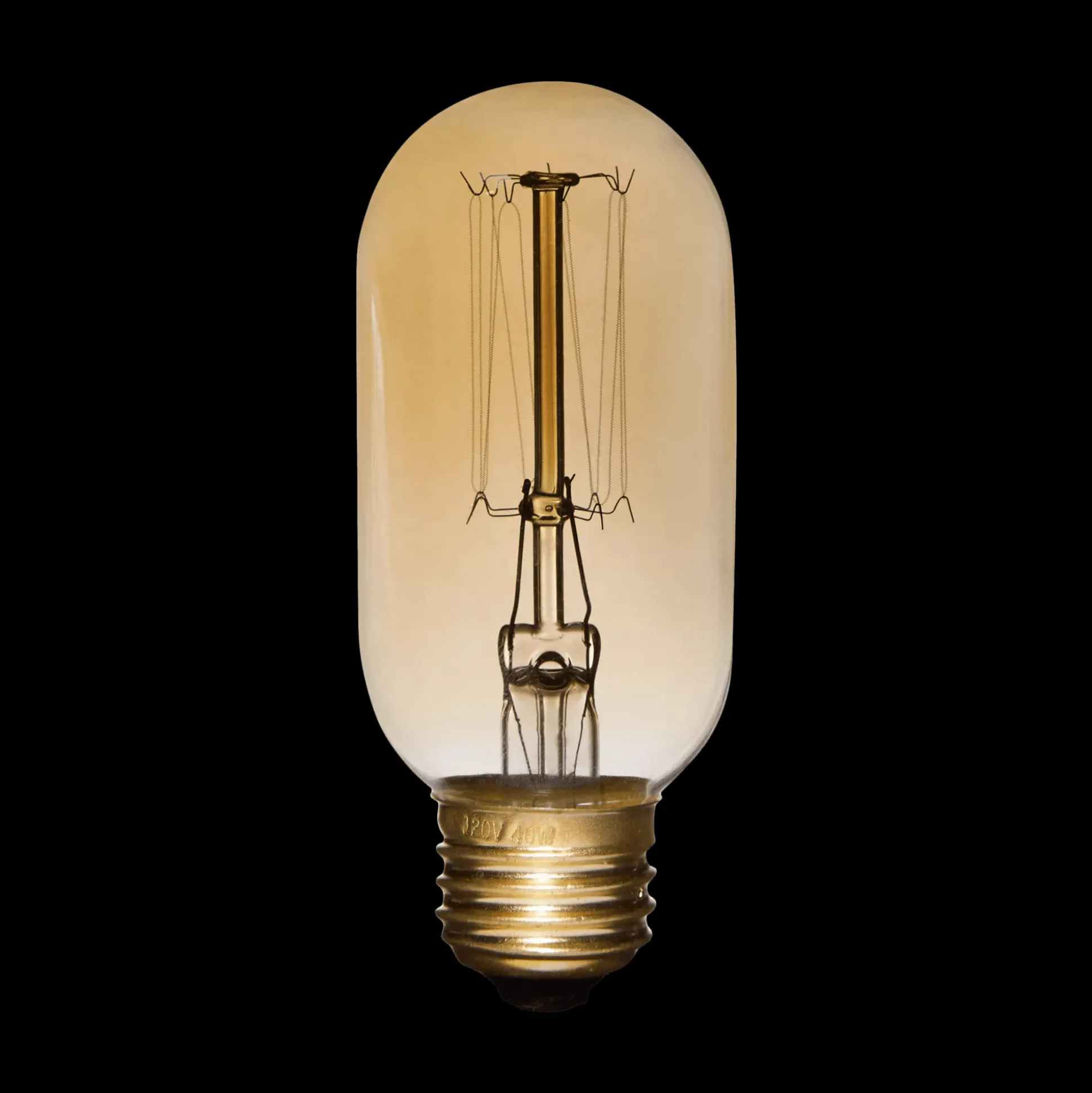 Vintage Edison Tubular Light Bulb
