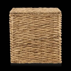 Water Hyacinth Storage Trunk