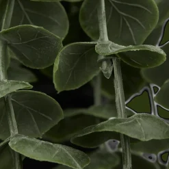 Waterfall Eucalyptus in Black Pot