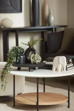 Waterfall Eucalyptus in Black Pot