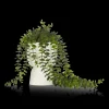 Waterfall Eucalyptus in White Hourglass Pot